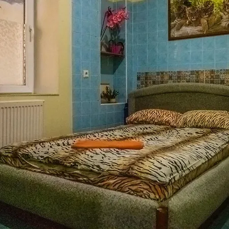 Auberge de jeunesse Tiger