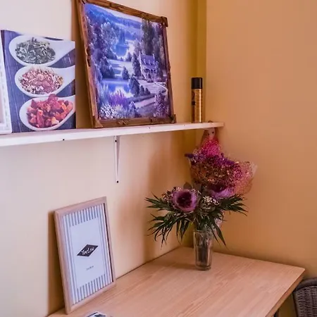 Auberge de jeunesse Tiger Riga